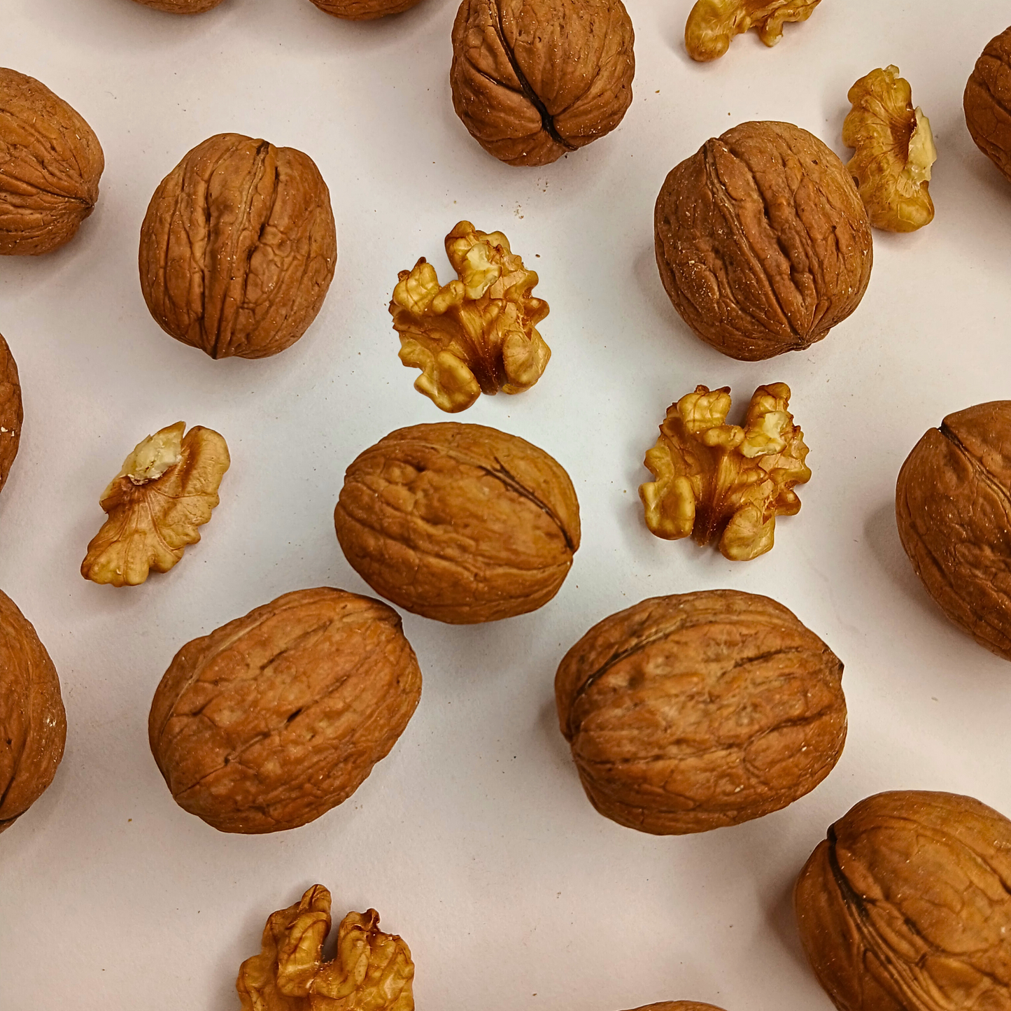 Walnuts in Shell - Premium Quality | Jumbo Size | Natural – From Chile