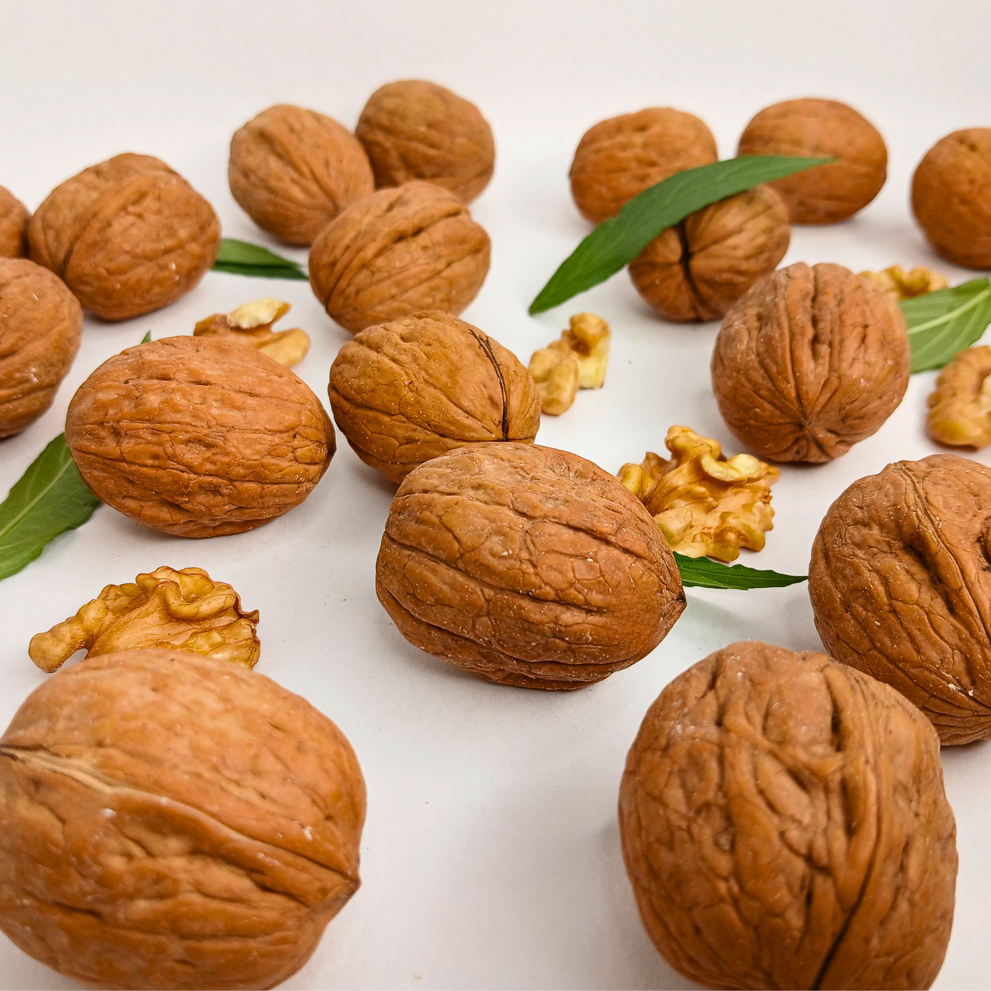 Walnuts in Shell - Premium Quality | Jumbo Size | Natural – From Chile
