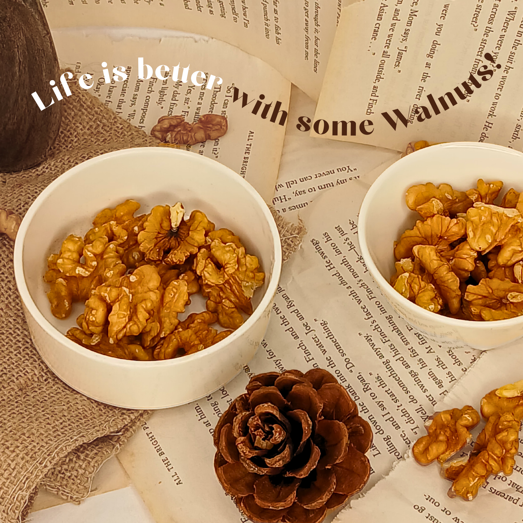 Walnut Kernels Without Shell - Premium Quality | Jumbo Size from Chile