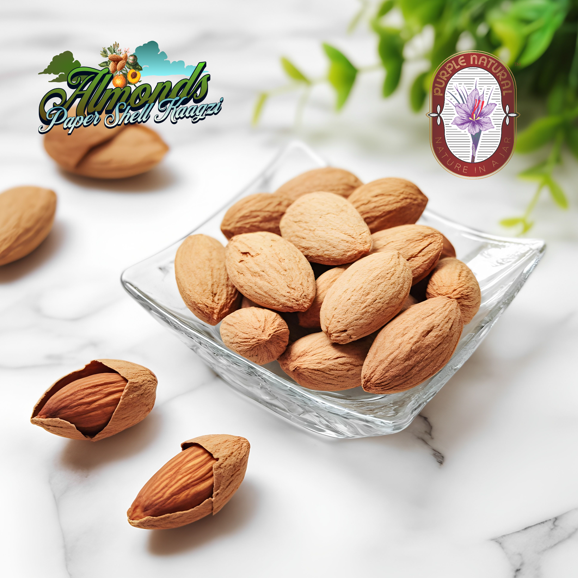 Paper Shell Almonds | Kaagzi Badaam, Sitarbai - Thin Shell, Long Kernel | Soft & Oil rich