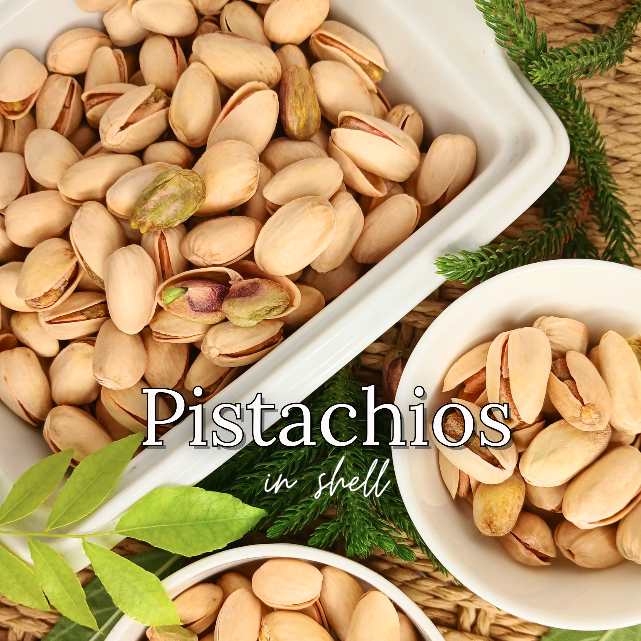 Pistachios in Shell – Salted, Jumbo Size | Premium Quality