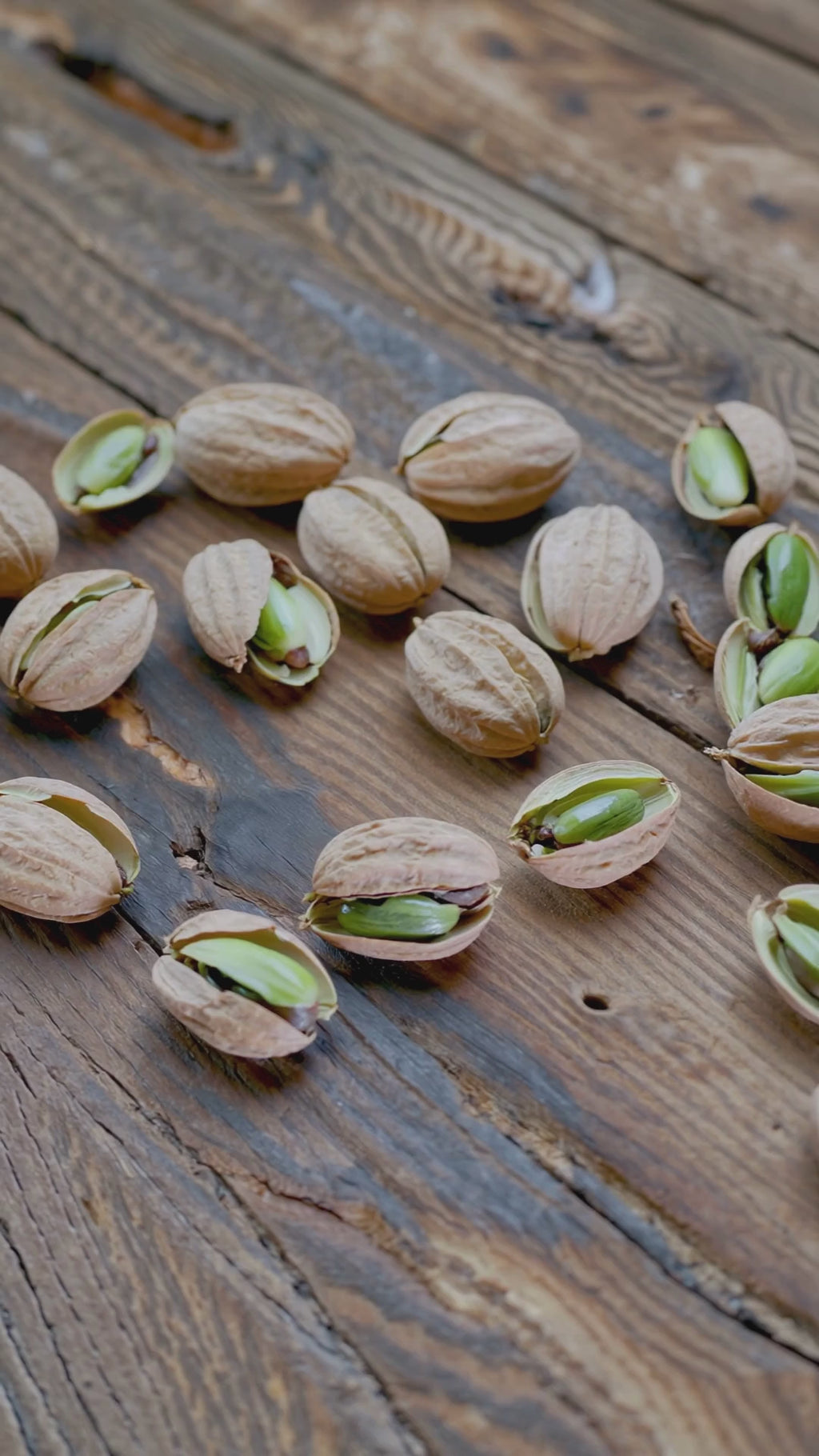 Pistachios in Shell – Salted, Jumbo Size | Premium Quality