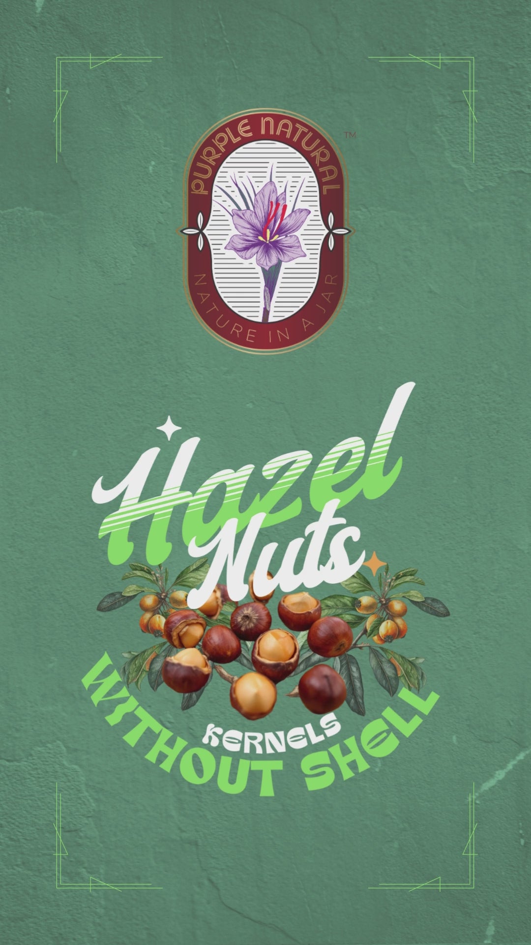 Hazelnut Kernels -  Premium Quality, Fresh, Natural & Nutritious