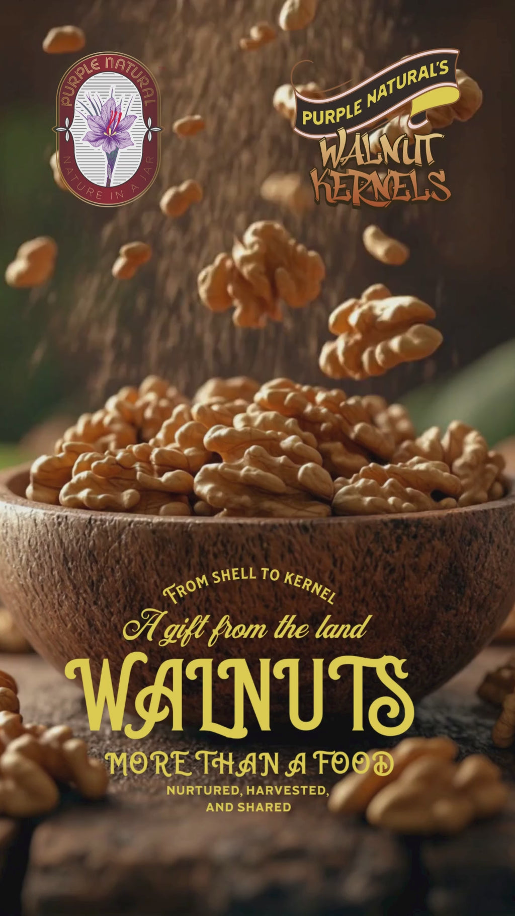 Walnut Kernels Without Shell - Premium Quality | Jumbo Size from Chile